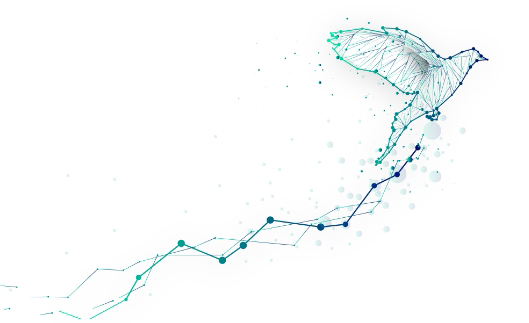 Graphic Representation